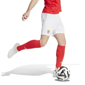 Home shorts Benfica Lisbonne 2024/25 image-2