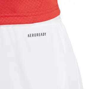 Home shorts Benfica Lisbonne 2024/25 image-5