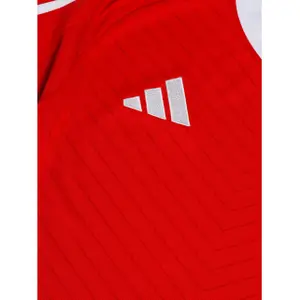 Hjemmetrøje Benfica Lisbonne 2024/25 image-2