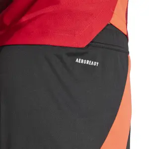 Home shorts Manchester United 2024/25 image-5