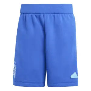 Breve Argentina Travel Copa America 2024 image-0