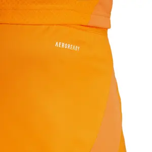 Pantalón corto segunda equipación Real Madrid 2024/25 image-6