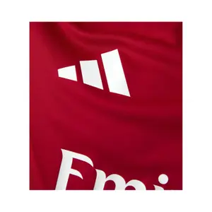 Maillot OL Tiro 2024/25 image-5