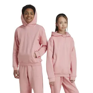 Hoodie Kinder adidas All Szn Graphics image-2