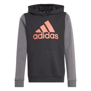 Sudadera con capucha infantil adidas Essentials Big Logo Colorblock image-0