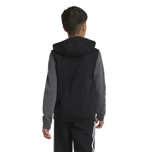 Sudadera con capucha infantil adidas Essentials Big Logo Colorblock image-3