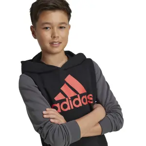 Sudadera con capucha infantil adidas Essentials Big Logo Colorblock image-5