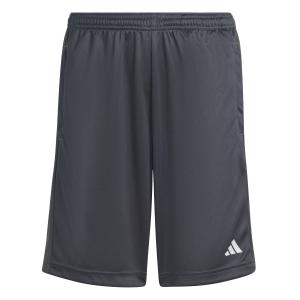 iw0848-shorts-til-born-adidas-essentials-logo-regular-gra