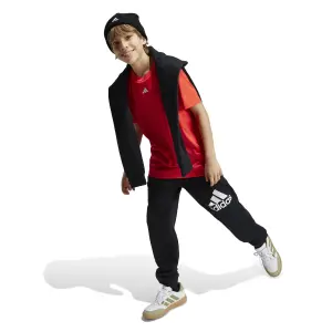 Camisola para crianças adidas Essentials Logo Regular image-1