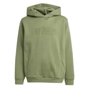 Camisola com capuz para criança adidas All Szn Graphics image-0