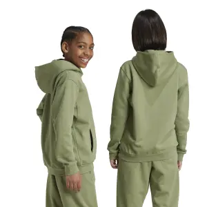 Camisola com capuz para criança adidas All Szn Graphics image-5