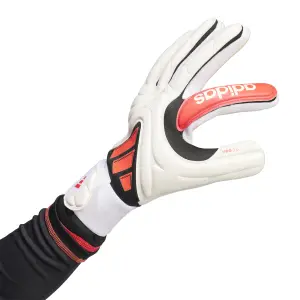 Torwarthandschuhe Kind adidas Copa Pro image-2