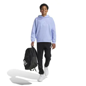 Sweatshirt à capuche enfant adidas Future Icons Logo image-6