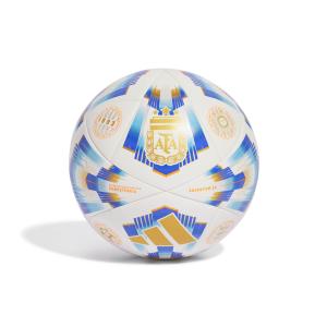 Argentinien Association Competition Fußball 2024