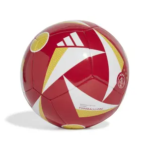 Ballon de football Ajax Amsterdam 2024/25