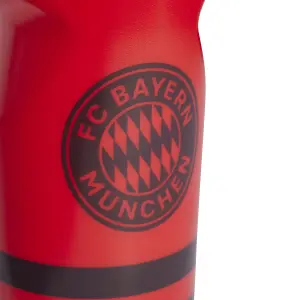Vattenflaska för hemmet Bayern Munich 2024/25 image-2