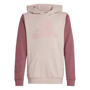 adidas Essentials Big Logo Kids Hoodie image-0