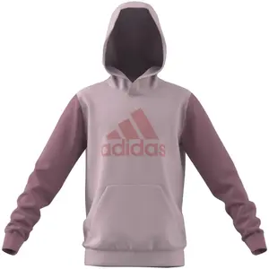 adidas Essentials Big Logo Kids Hoodie image-1