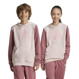 adidas Essentials Big Logo Kids Hoodie image-2