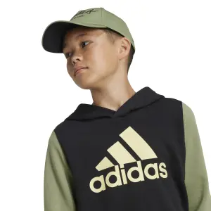 Sudadera con capucha infantil adidas Essentials Big Logo image-6
