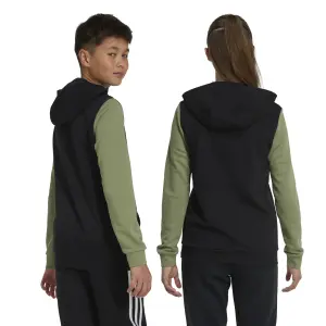 Sudadera con capucha infantil adidas Essentials Big Logo image-5