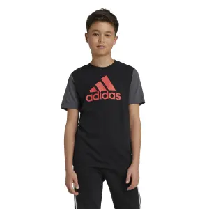 Camiseta infantil adidas Essentials Big Logo image-2