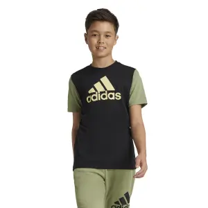 Kid's T-shirt adidas Essentials Big Logo Colorblock image-1