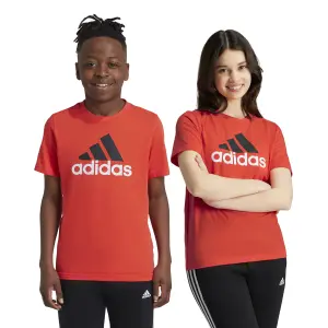T-shirt de criança adidas Essentials 2 Big Logo image-1