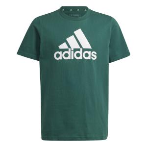 ix9569-camiseta-algodon-ni-o-adidas-essentials-big-logo-cverde-blanco