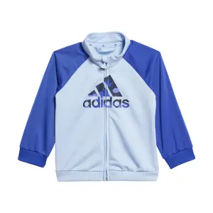 product/a/d/adidas_iy4295_clesky-selubl_8.jpg