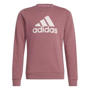 iz3434-sudadera-infantil-adidas-essentials-big-logo-precri-sanpin