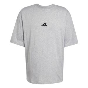 jc5340-t-shirt-adidas-future-icons-small-logo-mgreyh