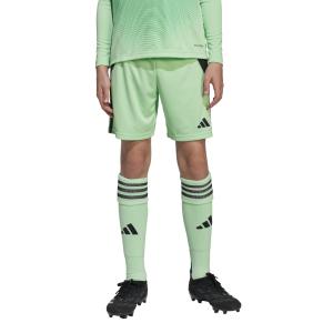 Children's shorts adidas Tiro 24 image-1