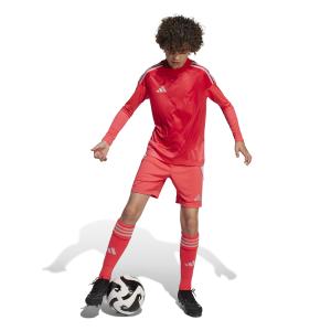 Children's shorts adidas Tiro24 image-3
