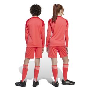 Children's shorts adidas Tiro24 image-1