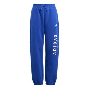Pantalón de chándal para niño adidas All Szn GFX image-0