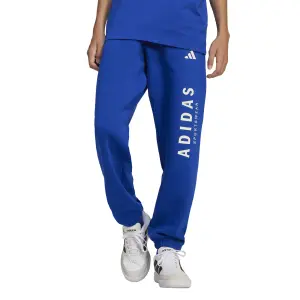 Pantalón de chándal para niño adidas All Szn GFX image-1