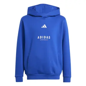 Sweatshirt med huva för barn adidas All Szn GFX image-0