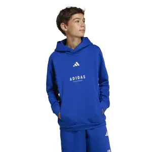 Sweatshirt med huva för barn adidas All Szn GFX image-1