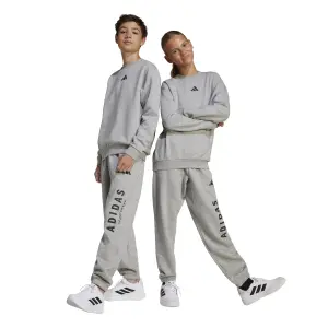 Sudadera gráfica para niño adidas All Szn image-2