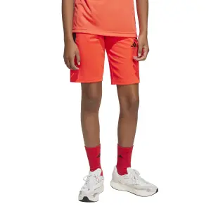 Children's shorts adidas House of Tiro image-2