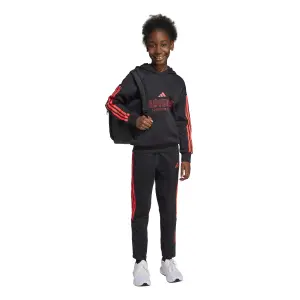 Camisola com capuz para criança adidas House Of Tiro image-1