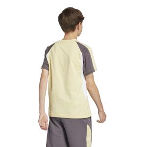 T-shirt per bambini adidas Seasonal Essentials Colorblock image-4
