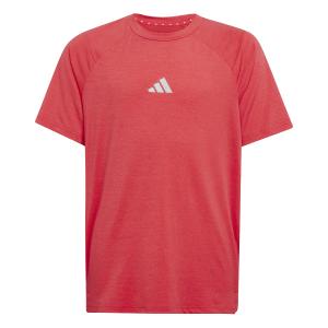 jd0136-camiseta-infantil-adidas-goto-purrub-lucred-refsil
