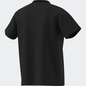 Camiseta adidas Berlin Pigeon image-2