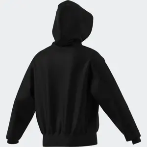 Hoodie adidas Berlin Pigeon image-2