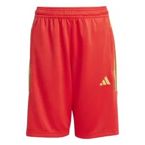 Children's shorts adidas House of Tiro Colors of Football image-0