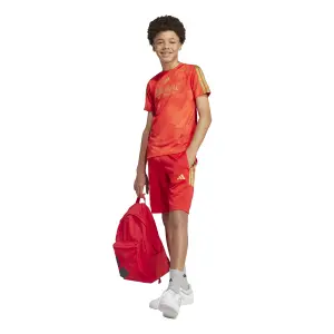 Children's shorts adidas House of Tiro Colors of Football image-3