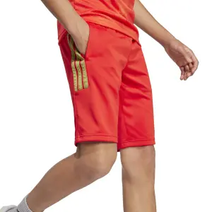 Children's shorts adidas House of Tiro Colors of Football image-5