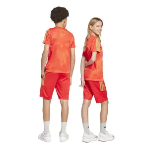 Children's shorts adidas House of Tiro Colors of Football image-6